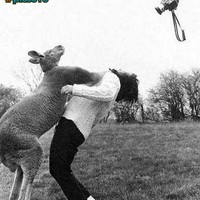 Welcome to Australia
