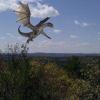 Dar Be Dragons