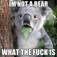 Koalas aren't bears?