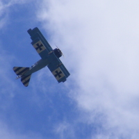 Blue Baron