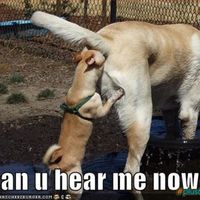 Can you hear me now?