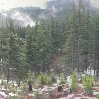 Pacific Northwest