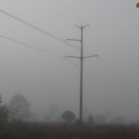 cant hole pole