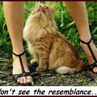 pussy..