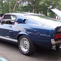 gt 500 428