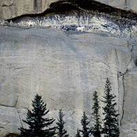 Mountain Goats of the Stikine River Valley - Canada's Grand Canyon