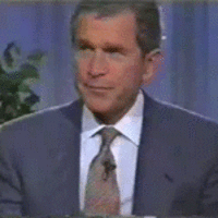 A BETTER BUSH GIF