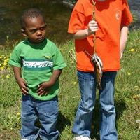 Bitch,stole my fish !