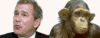 Bushmonkey's sexual preferences revealed!