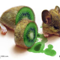 Mouser Slicer