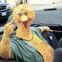 big bird loves ya