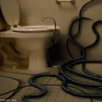 Electro-loo