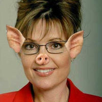 America Rejects Dipshit Palin Again