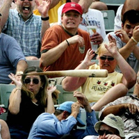 Batter Up!