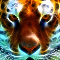 Psychedelic Tiger