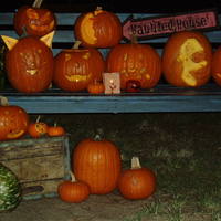 Gant Street Halloween Rules!