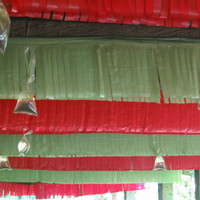 Guess the misterious object: what are those plastic bags? Chiapas, mexico 2005