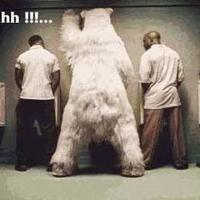 The Bundy Bear...