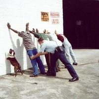 Up against the wall dog..!