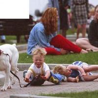 Dayh care, doggy style...
