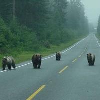 Would you pick up these hitch hikers..?