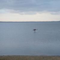 Kangaroo lake...