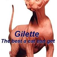 Mr Bigglesworth...