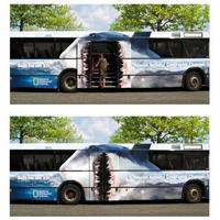 Sydney buses, cool paintjob...