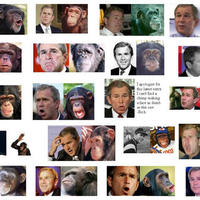 Are all these chimps Bush..?