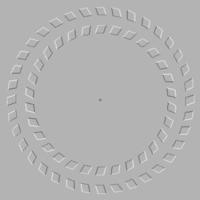 Spinning circles illusion...