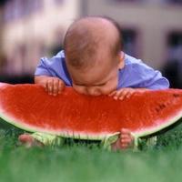 Ambitions melon eater...