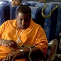 snakes on a plane