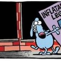 Doggy porn...
