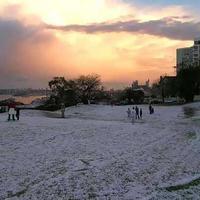Sydney Snow 2004, Nth Sydney...