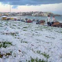 Sydney Snow 2004, Bondi Beach...
