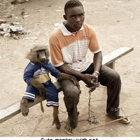Cute monkey with pet.