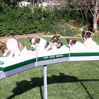 puppy monorail (from b0g)