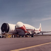 Guppy&Saturn 14