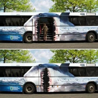 coolbus