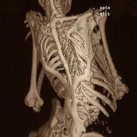 Renegade Skeleton