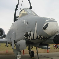 Eat Lead mutha fuckaz!!!!