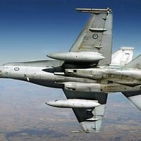 Hornet, maybe...