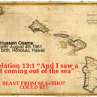 Beast from the sea