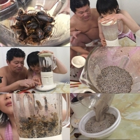 COCKROACH SMOOTHIE