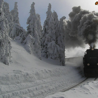 train..