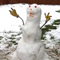 snowdude