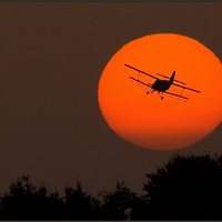 into the sunset