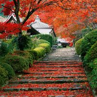 Autumn or Spring ?