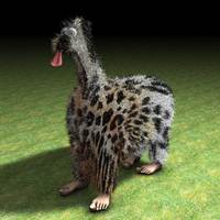 fuzzball