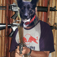 kelpies with guns